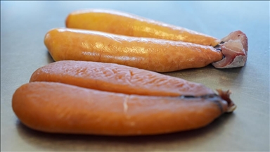 Bottarga, yüksek aromasıyla yemeklere lezzet katıyor