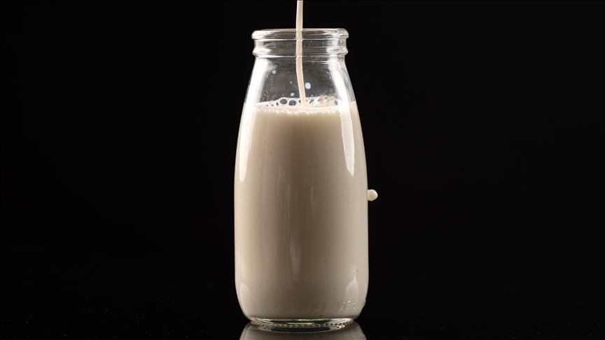 Toplanan inek sütü miktarı ağustosta yıllık bazda yüzde 13,5 arttı