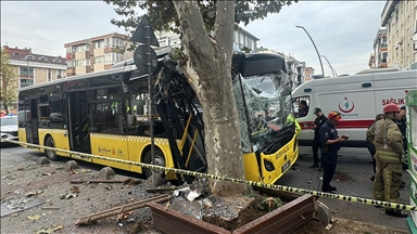 Bahçelievler'de ağaca çarpan İETT otobüsündeki 7 kişi yaralandı