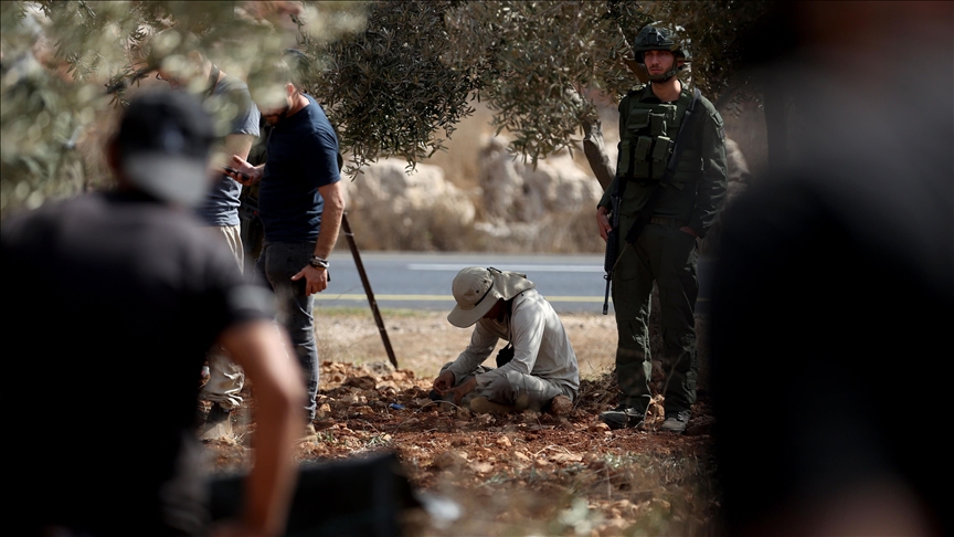 UN experts urge Israel to stop violent attacks on Palestinian farmers by illegal Israeli settlers