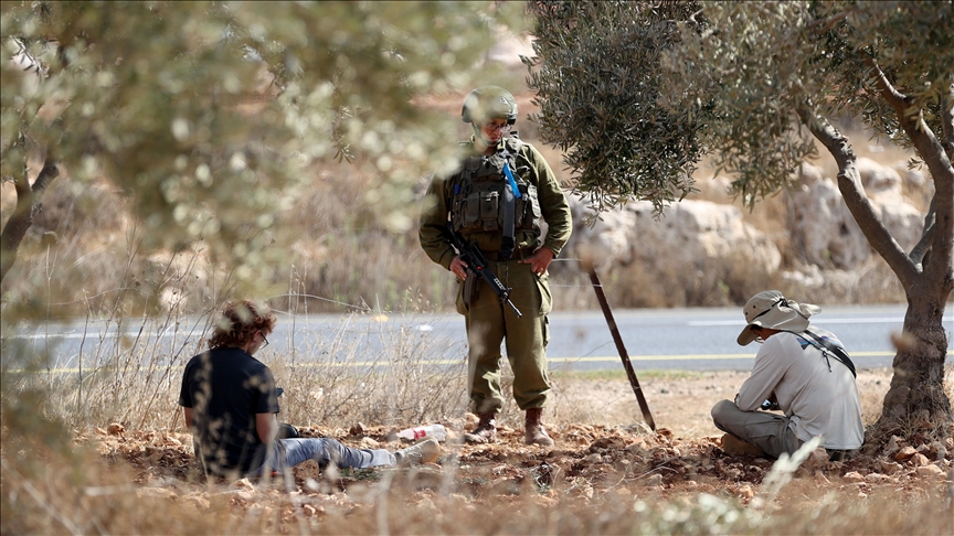 Expertos de la ONU instan a Israel a poner fin a los ataques violentos de sus colonos a los agricultores palestinos 