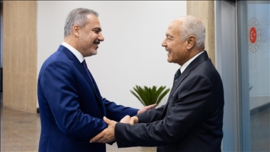 Turkish foreign minister meets Arab League secretary-general 