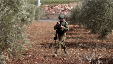 L’armée israélienne tue une Palestinienne alors qu'elle récoltait des olives en Cisjordanie