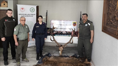 Kastamonu'da yakalanan avcıların evinde geyik eti ve bu etten yapılan sucuk ele geçirildi