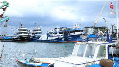 Ordu'da olumsuz hava koşulları nedeniyle balıkçı tekneleri limanlara sığındı