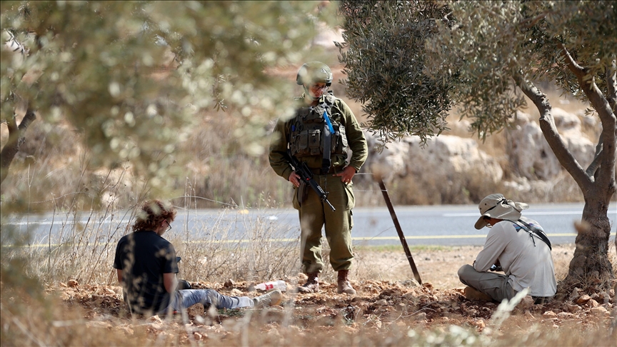 الضفة.. إصابة فلسطينيين ومتضامنة أجنبية باعتداءات إسرائيلية 