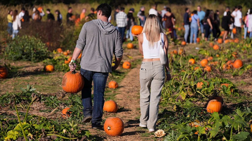 SAD u susret Halloweenu: Njujorčani kupuju bundeve