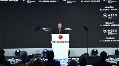 Türkiye reining in inflation, says President Erdogan 