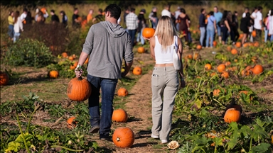 SAD u susret Halloweenu: Njujorčani kupuju bundeve