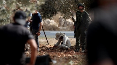 Illegal Israeli settlers continue to attack Palestinian olive farmers in  occupied West Bank