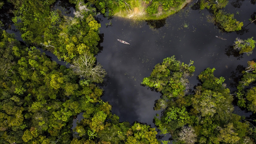 UN’s COP16 biodiversity summit begins in Colombia