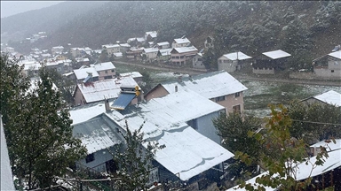 Sivas'ta çam ağaçlarıyla kaplı Eğriçimen Yaylası'na kar yağdı