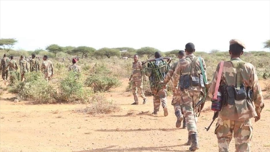 95 al-Shabaab terrorists killed, 7 villages liberated in military operations in Somalia
