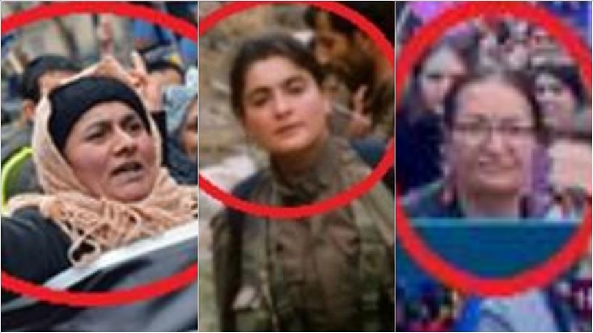 Спецслужбы Турции схватили пособниц PKK в Европе