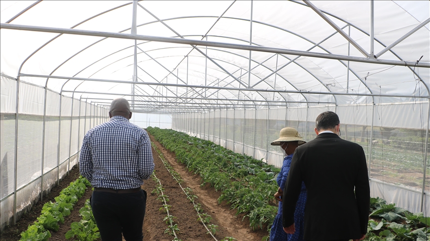 World Bank doubles agribusiness commitment to $9B annually