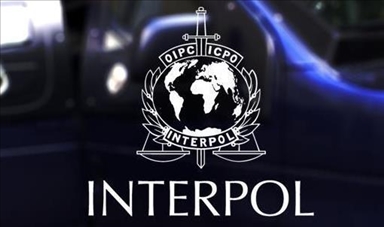 Interpol holds 1st 'Future of Policing' summit in South Korea