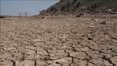 Ecuador gripped by energy crisis amid worst drought in decades