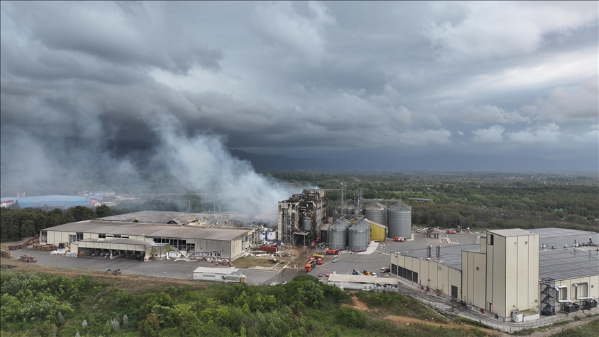 Los niveles globales de gases de efecto invernadero alcanzaron un nuevo récord en 2023