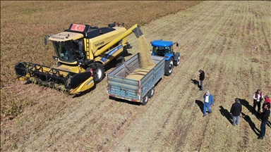 Diyarbakır'da soya ekim alanı bir yılda 9 binden 33 bin dekara yükseldi