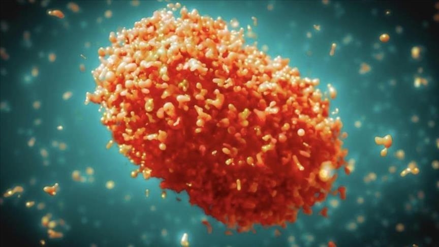 Royaume-Uni : premier cas d’infection au nouveau variant de Mpox détecté