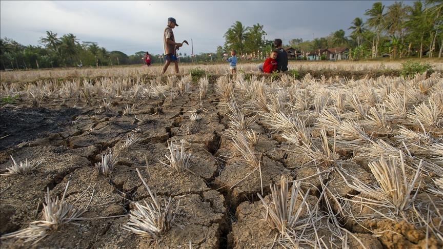 Climate change drives global health crisis with record heat, rising food insecurity: Report Climate change drives global health crisis with record heat, rising food insecurity: Report