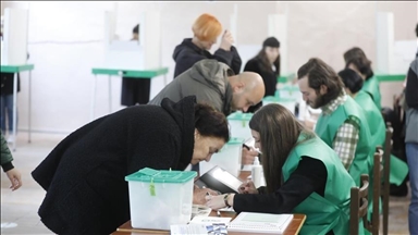 Georgia initiates probe into 'alleged falsification' of parliamentary election results