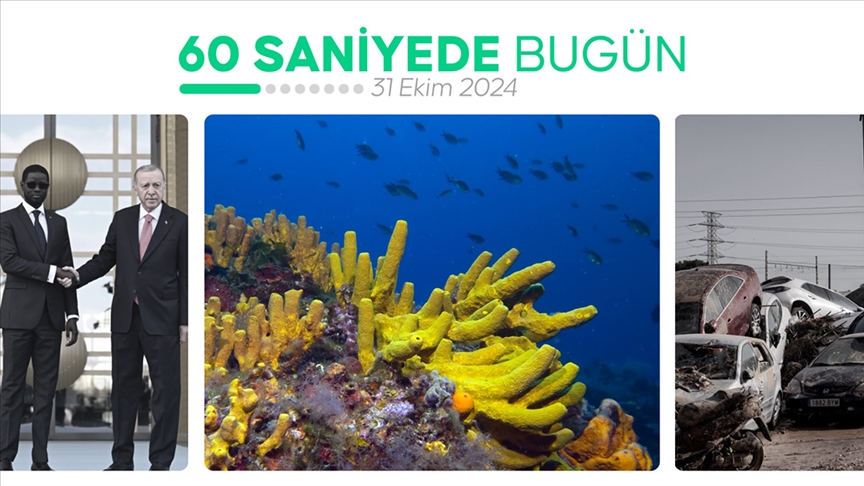 60 saniyede bugün (31 Ekim 2024)