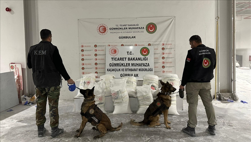 Gürbulak Sınır Kapısı'nda talk pudrası ve bitki köklerine gizlenmiş 4,5 ton uyuşturucu ele geçirildi