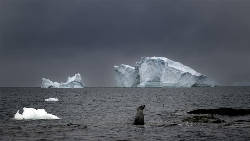 Melting glaciers drive Arctic sea traffic surge, reshaping global trade and environment