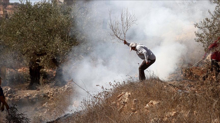 بعد هجوم البيرة.. مستوطنون إسرائيليون يحرقون حقول فلسطينية 