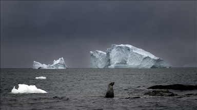 Melting glaciers drive Arctic sea traffic surge, reshaping global trade and environment