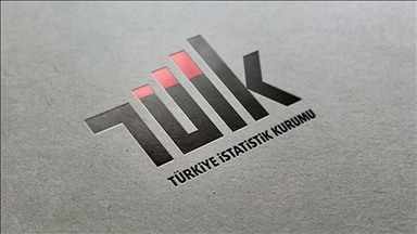 TÜİK, "grid" detayında eğitim istatistiklerini paylaşıma açtı