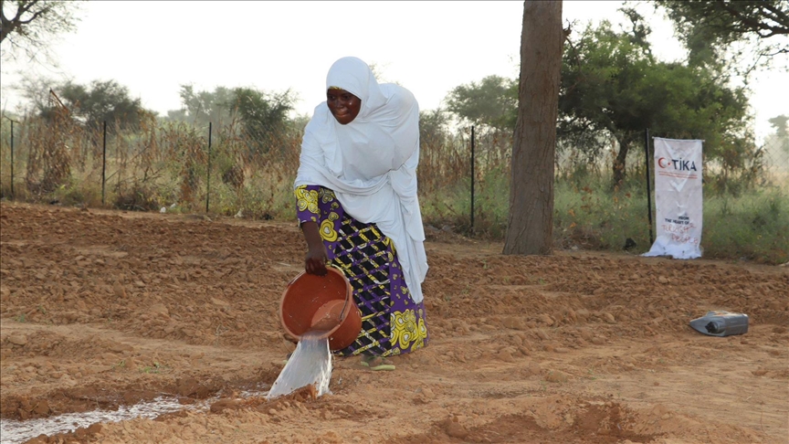 Niger : la TIKA et COJEP international apportent un appui aux agricultrices dans la localité de Kiota