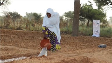 Niger : la TIKA et COJEP international apportent un appui aux agricultrices dans la localité de Kiota