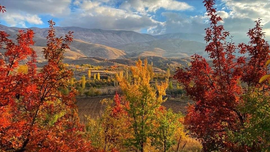 لە پارێزگای ئیغدر ڕەنگی پاییز باڵی بەسەر دۆڵی غازیلاردا  کێشاوە