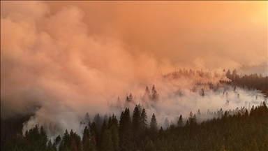 ABD'nin California eyaletinde orman yangını nedeniyle binlerce kişi tahliye edildi