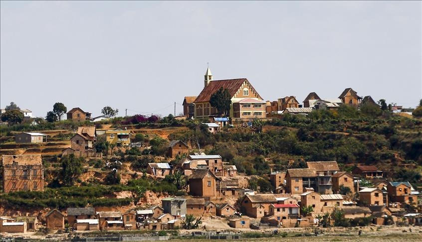 Madagascar : démarrage de la campagne d’exportation de litchis dans un climat morose