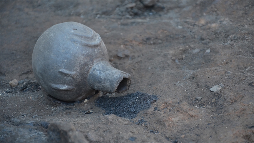 Seyitömer Höyüğü'nde Tunç Çağı'ndan kalma haşhaş ve nohut taneleri bulundu