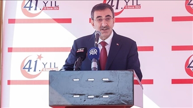 Turkish Republic of Northern Cyprus ‘only legitimate state’ on island: Türkiye’s vice president