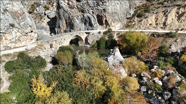 Rengên payizê xwe li quntara Çiyayê Nemrudê veda