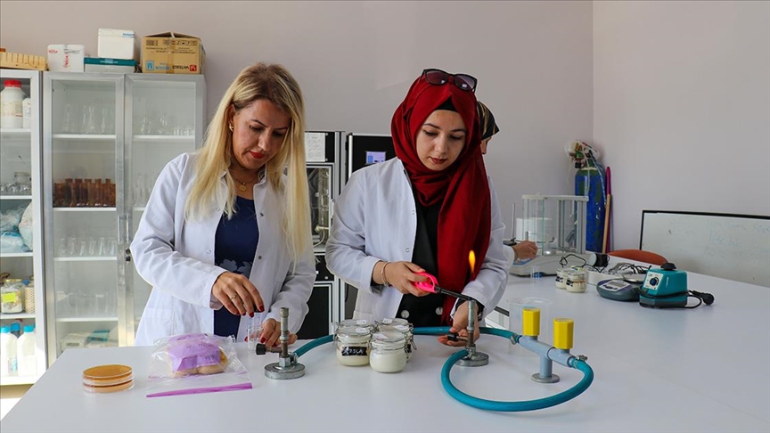 Van'da probiyotik içeren gıdaların besin değerini korumak için "kapsüllenmiş maya" üretildi