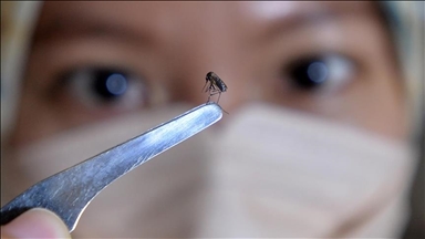 Bangladesh : la dengue fait huit nouvelles victimes en 24 heures