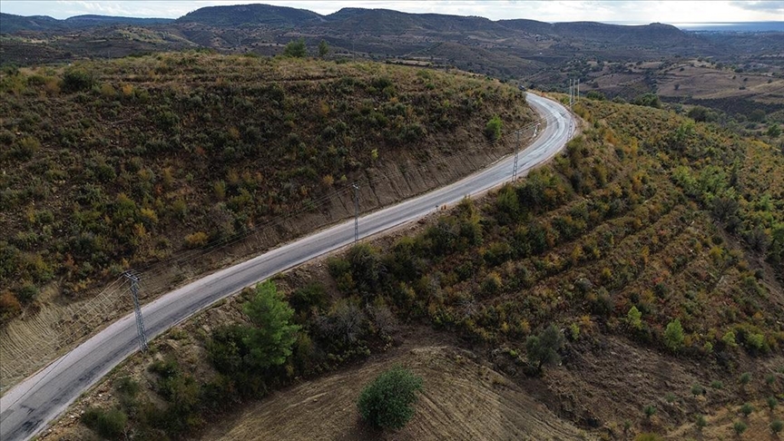 Manavgat'ta yanan alanlar yeniden sonbahar renklerine büründü