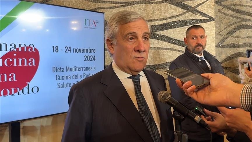 Italy working to help Turkish students obtain visas: Foreign minister