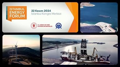 ZINDÎ-Sektora vejenê di Istanbul Energy Forumê da tê cem hev