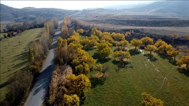 دۆڵی ئوچکایا لە ئیغدر ئاوێتەی ڕەنگەکانی پاییز بووە