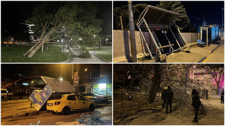 Bursa'da etkili olan kuvvetli fırtına çevreye zarar verdi