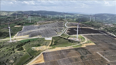 Türkiye'nin uzun dönemli yenilenebilir enerji planları Londra'da yatırımcılarla paylaşıldı