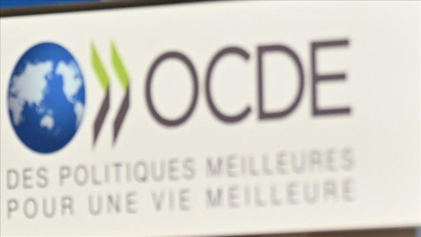OECD projects 3.3% global growth for 2025-2026