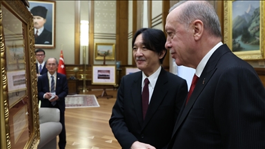 Turkish president meets Japanese crown prince in Ankara